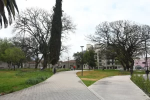 obras-ex-paludica-15-1024x683