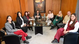 saenz-se-reunio-con-mujeres-representantes-de-instituciones-y-diferentes-espacios-politicos