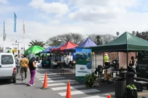 primer-reciclaton-1-768x512