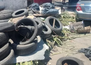 whatsapp-image-2025-10-23-at-161439-e1761247806597