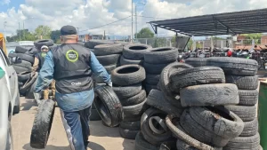 21-neumaton-2-1024x576