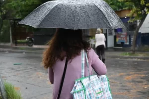 lluvia-en-la-ciudad-3-1024x683