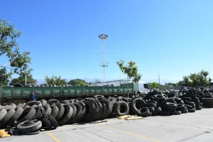 neumaton-edicion-24-10-1024x683