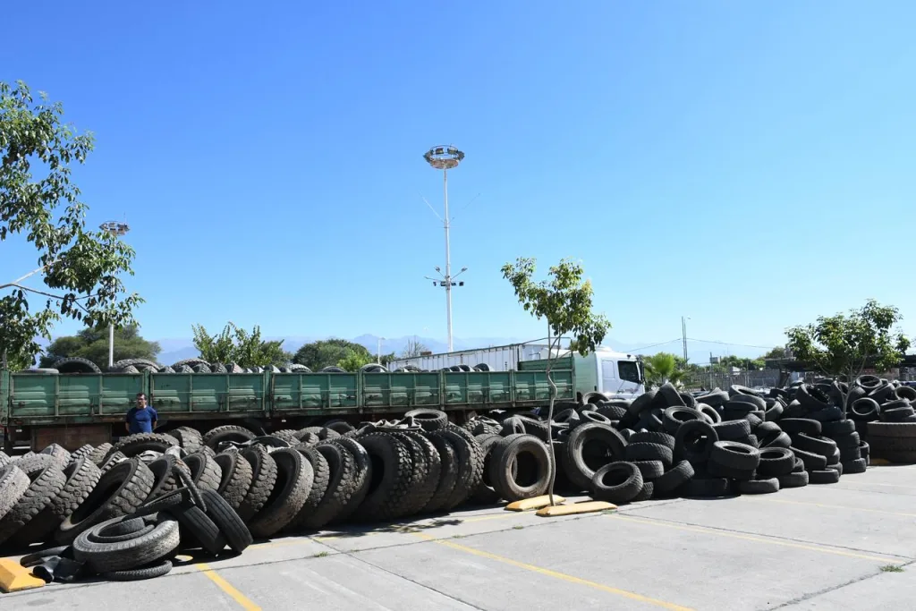 neumaton-edicion-24-10-1024x683