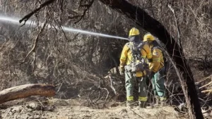 108642-los-focos-de-incendios-en-cafayate-estan-contenidos