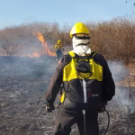 Ayer, la Municipalidad trabajó para sofocar 5 incendios forestales