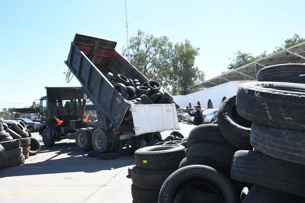 neumaton-edicion-24-7-1024x683