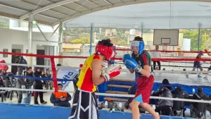 torneo-de-box-2-1024x576
