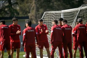 AR - Plantel Pincha