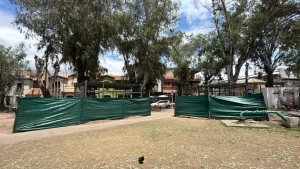 impulso-plaza-5-1024x576