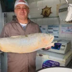 La Semana del Pescado suma promociones en el Mercadito General Belgrano
